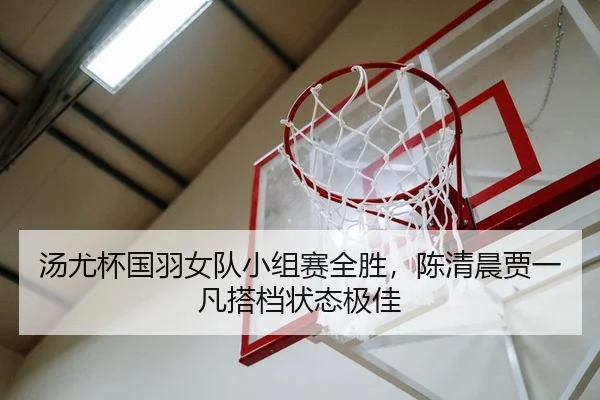tang-you-bei-guo-yu-nv-dui-xiao-zu-sai-quan-sheng-chen-qing-chen-jia-yi-fan-da-dang-zhuang-tai-ji-jia-2-672.jpg