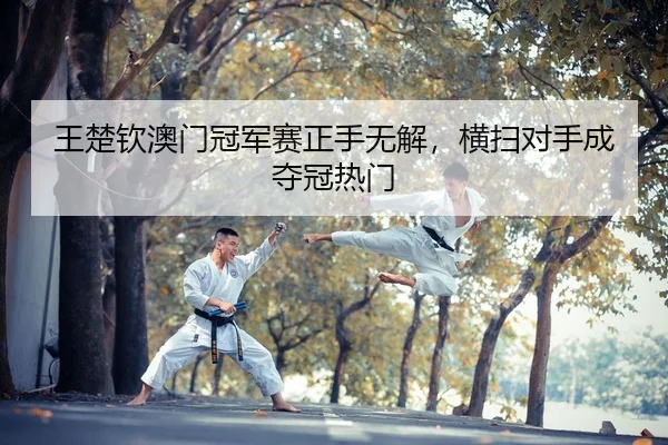 wang-chu-qin-ao-men-guan-jun-sai-zheng-shou-wu-jie-heng-sao-dui-shou-cheng-duo-guan-re-men-2-451.jpg